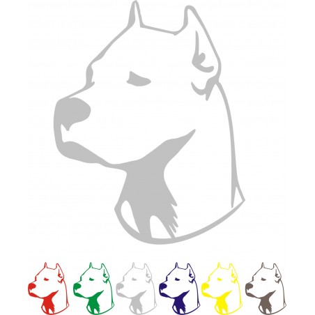Dogo Argentino